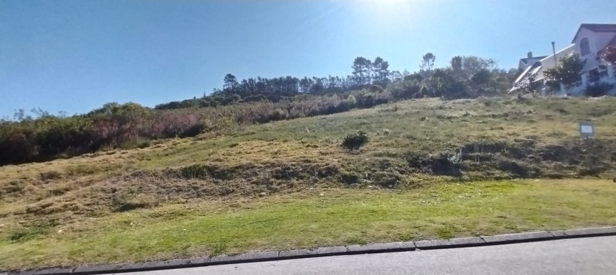 0 Bedroom Property for Sale in Green Pastures Western Cape